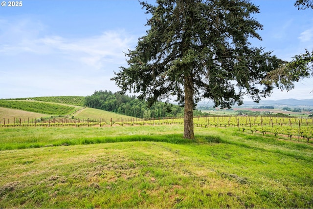 8810 NE Blackburn Rd, Yamhill, OR 97148 - view of yard featuring a view of rural / pastoral area, fence, and agricultural plots
