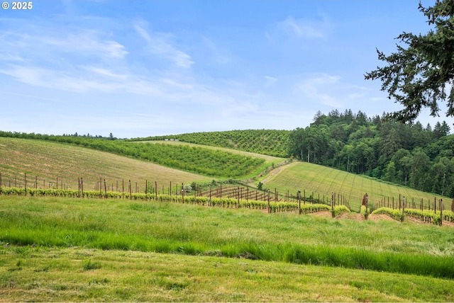 8810 NE Blackburn Rd, Yamhill, OR 97148 - view of yard featuring a view of rural / pastoral area and fence