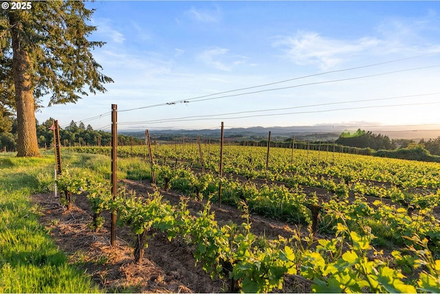 8810 NE Blackburn Rd, Yamhill, OR 97148 - view of yard featuring a rural view, agricultural area, and a mountain view