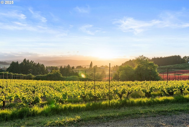 8810 NE Blackburn Rd, Yamhill, OR 97148 - view of yard with a view of rural / pastoral area and fence