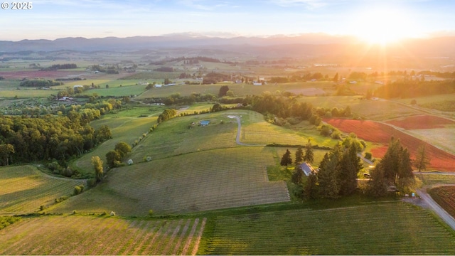 8810 NE Blackburn Rd, Yamhill, OR 97148 - overview of rural landscape featuring a mountainous background and rows of crops