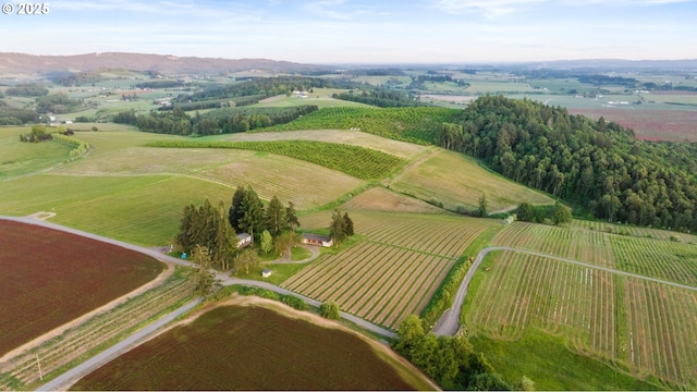 8810 NE Blackburn Rd, Yamhill, OR 97148 - aerial view of property and surrounding area with rural landscape, abundant farmland, and a mountainous background