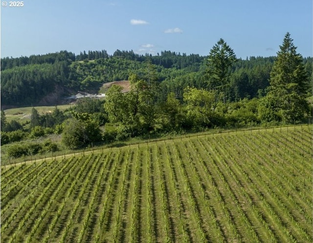 8810 NE Blackburn Rd, Yamhill, OR 97148 - view of yard with agricultural area and a forest view