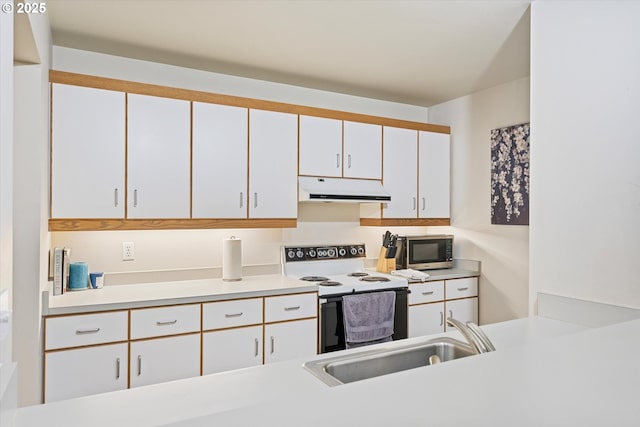 kitchen featuring electric range, under cabinet range hood, stainless steel microwave, a sink, and white cabinets
