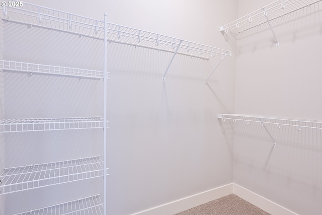 walk in closet with carpet floors