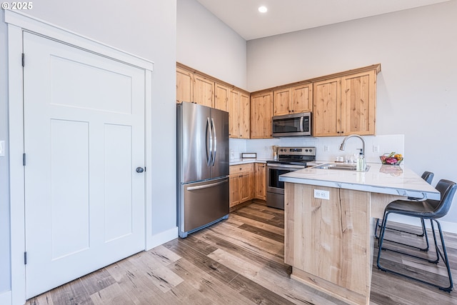 kitchen featuring a peninsula, tasteful backsplash, a sink, light wood-style flooring, and stainless steel appliances
