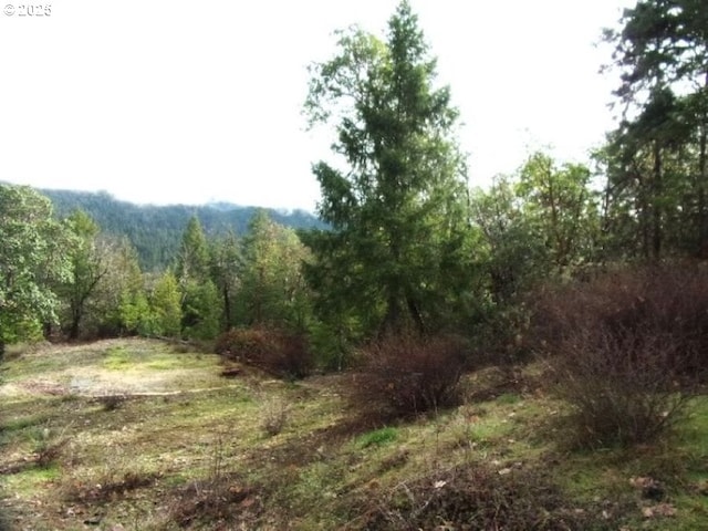 Listing photo 3 for 18515 Ditch Creek Rd, Rogue River OR 97537