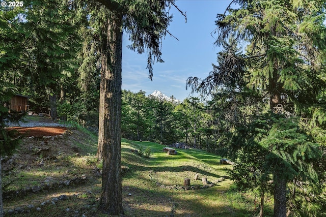 view of community with a lawn