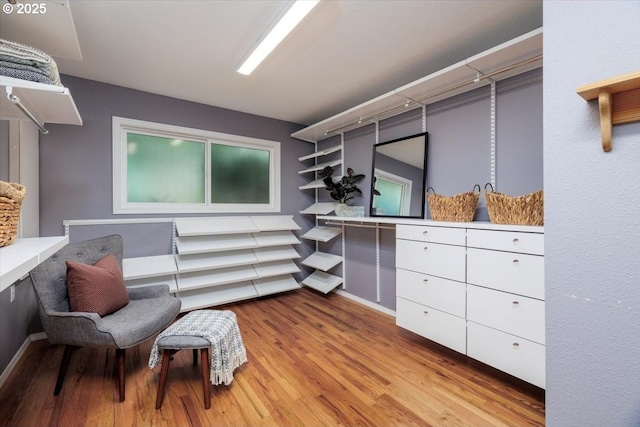 walk in closet featuring wood finished floors