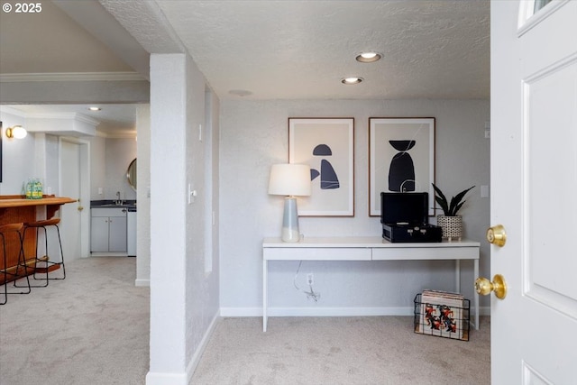 interior space featuring carpet, a sink, a textured ceiling, and baseboards