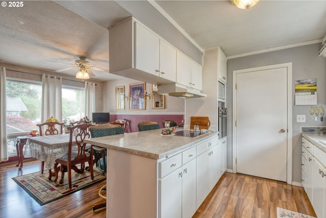 385 S Green St, Heppner, OR 97836 - kitchen with under cabinet range hood, ceiling fan, light wood-style floors, light countertops, and ornamental molding