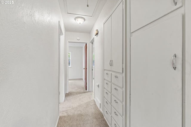 1041 19th Ave, Longview, WA 98632 - corridor with light colored carpet and baseboards
