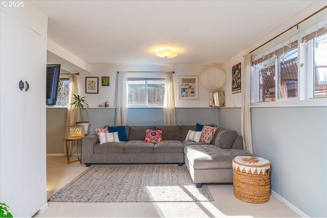 living room featuring carpet