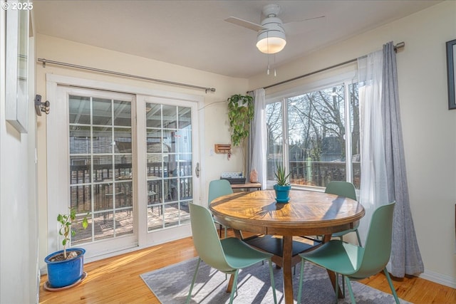 dining area with hardwood / wood-style floors and ceiling fan