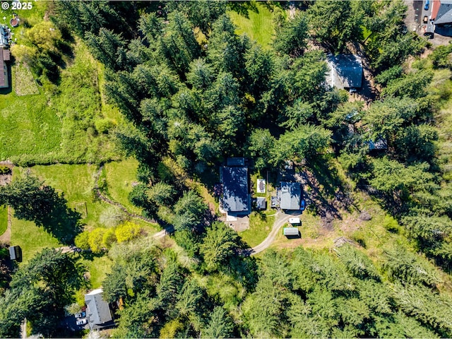 aerial view