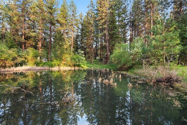 74576 Thompson Rd, Elgin, OR 97827 - water view featuring a heavily wooded area