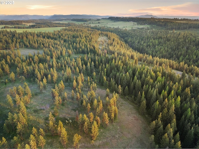74576 Thompson Rd, Elgin, OR 97827 - aerial view at dusk of a mountain view and a view of trees