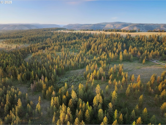 74576 Thompson Rd, Elgin, OR 97827 - view of mountain backdrop featuring a heavily wooded area
