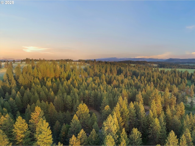74576 Thompson Rd, Elgin, OR 97827 - aerial view at dusk of a wooded view and a mountain view