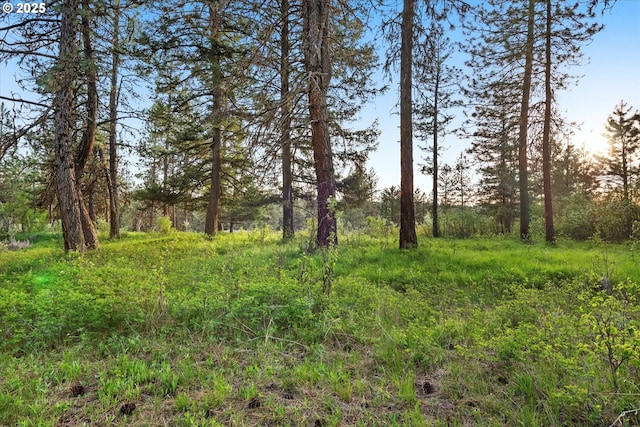 74576 Thompson Rd, Elgin, OR 97827 - view of nature
