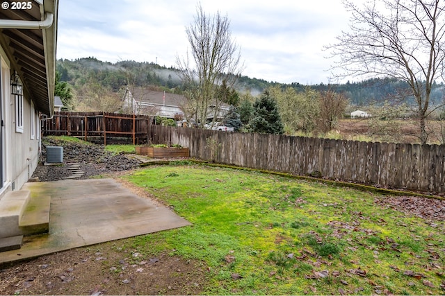 view of yard featuring a patio