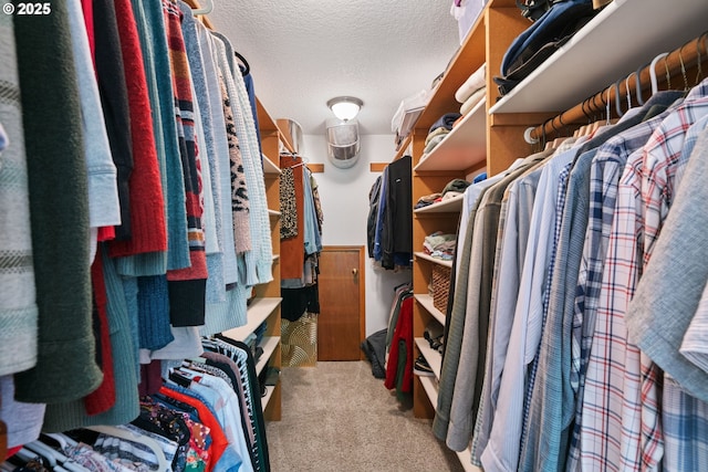 walk in closet with carpet floors