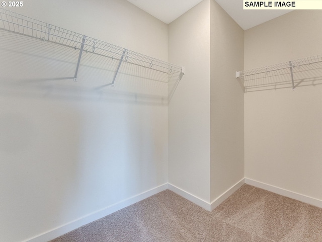 walk in closet with carpet flooring