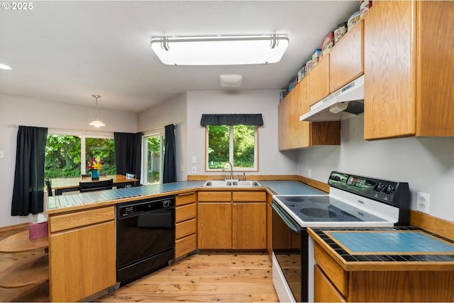 7980 Kilchis River Rd, Tillamook, OR 97141 - kitchen with range with electric stovetop, under cabinet range hood, black dishwasher, a sink, and light wood-style flooring