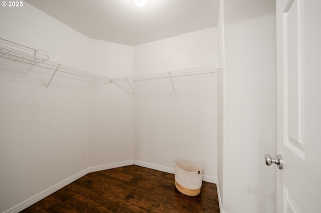 5700 NE 82nd Ave Unit C15, Vancouver, WA 98662 - spacious closet featuring dark wood finished floors