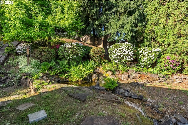 view of yard