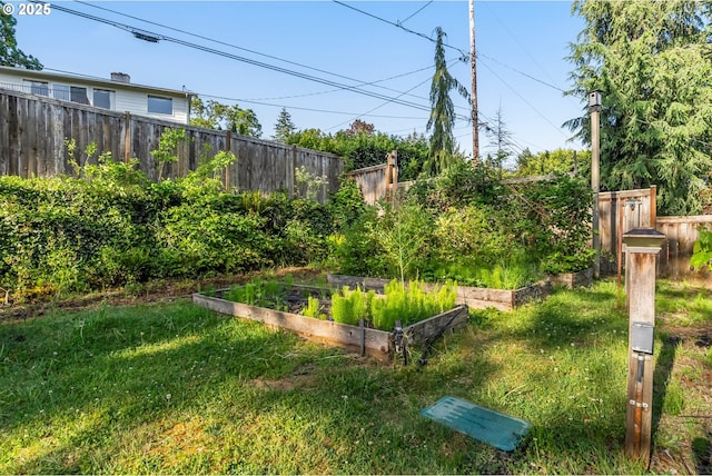 view of yard with a garden