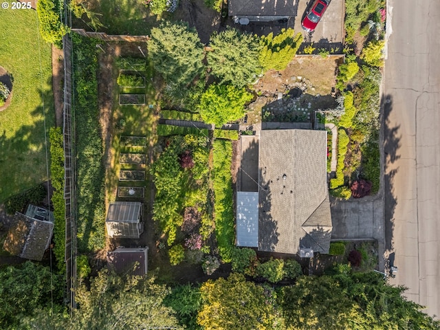 bird's eye view