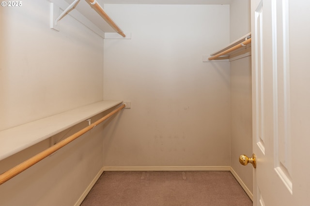 walk in closet with light carpet