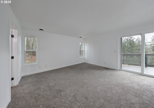 empty room with carpet floors and a textured ceiling