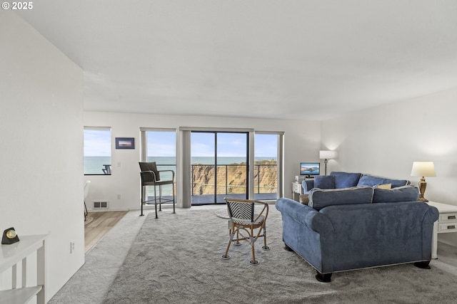 carpeted living room with visible vents