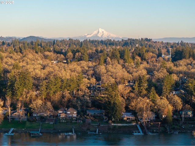 mountain view featuring a water view