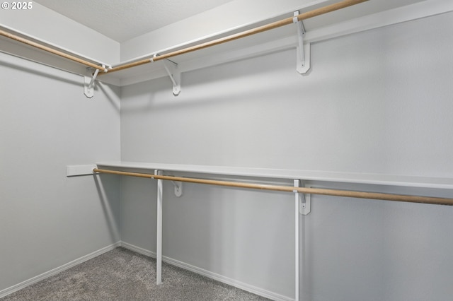 2510 NW Rogue Valley Ter, Beaverton, OR 97006 - spacious closet featuring carpet floors
