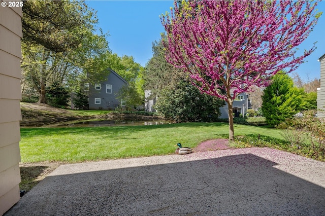 8540 SW Curry Dr Unit D, Wilsonville, OR 97070 - view of yard featuring a patio area