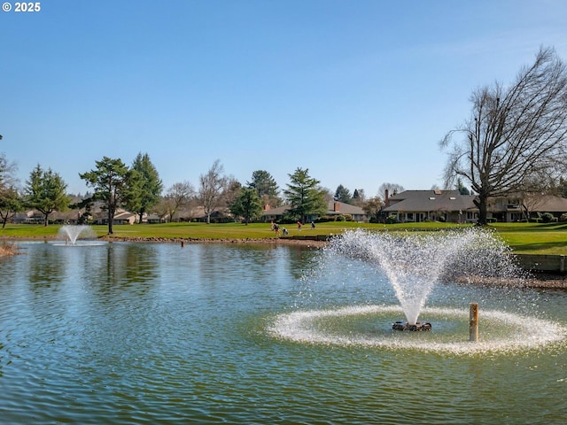 8540 SW Curry Dr Unit D, Wilsonville, OR 97070 - property view of water