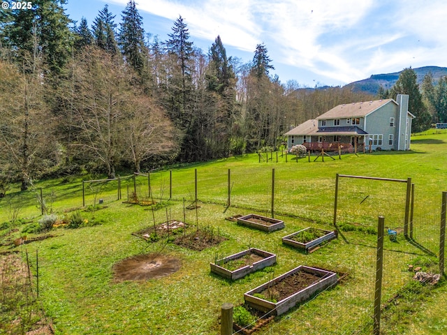92041 Carmen Creek Rd, Astoria, OR 97103 - view of yard featuring a garden and a mountain view