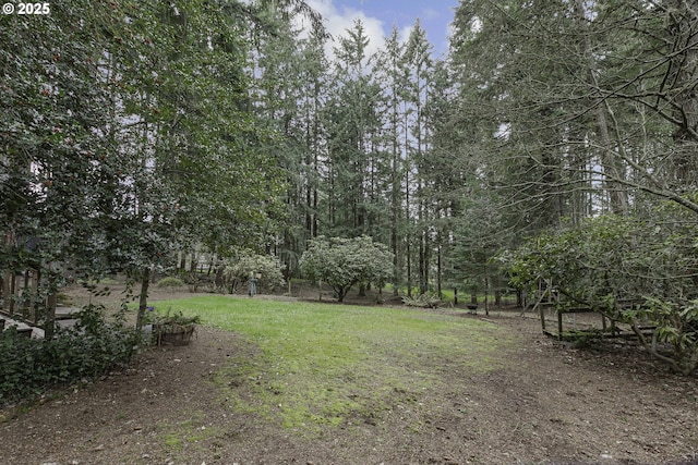 view of yard
