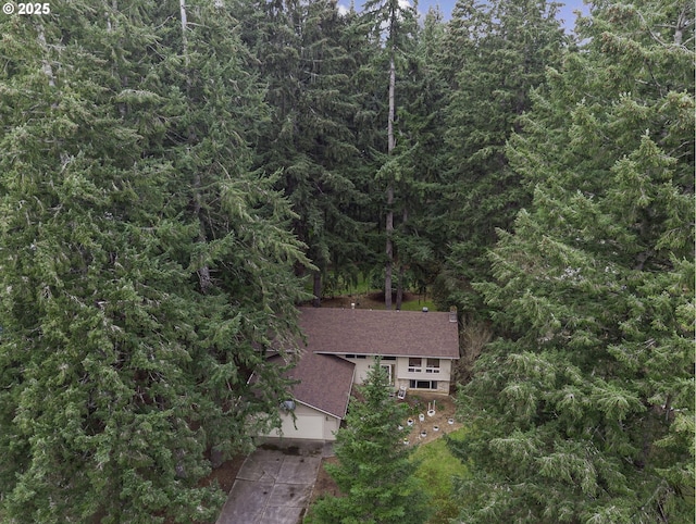 bird's eye view