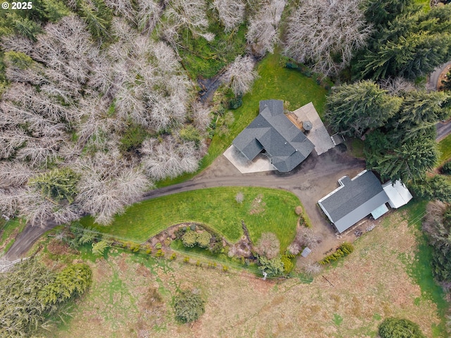 bird's eye view