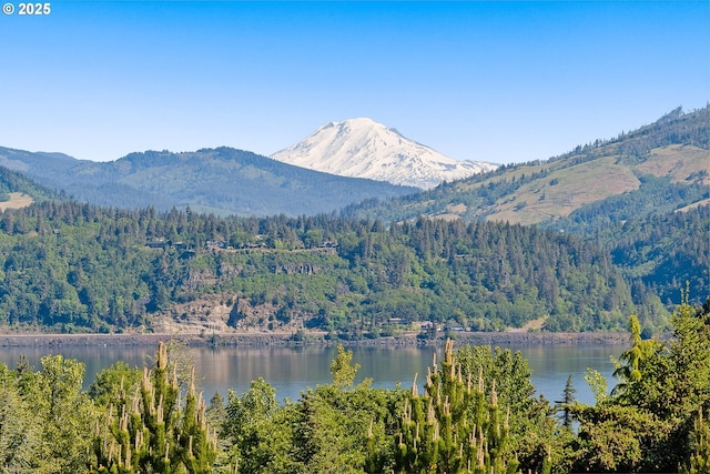 1524 Sherman Ave, Hood River, OR 97031 - mountain view with a forest and a large body of water