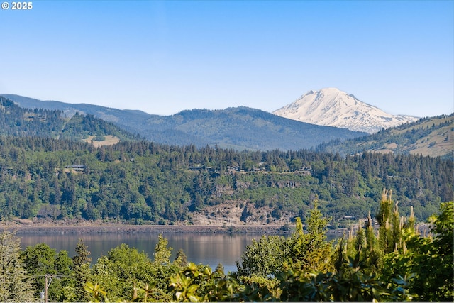1524 Sherman Ave, Hood River, OR 97031 - view of mountain background featuring a forest and a nearby body of water