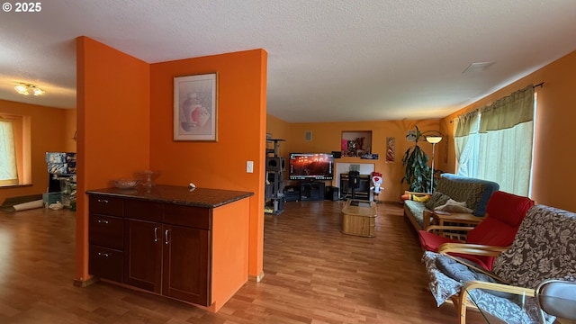 2113 SE 181st Ave, Vancouver, WA 98683 - living area with light wood-style floors and a textured ceiling
