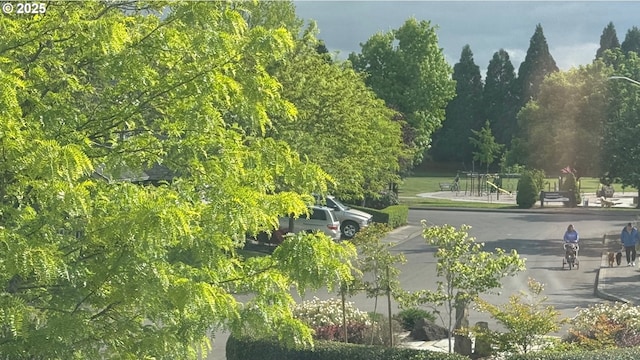 2113 SE 181st Ave, Vancouver, WA 98683 - view of community
