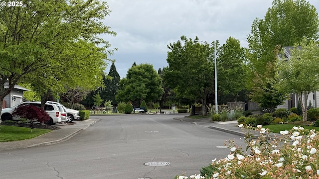 2113 SE 181st Ave, Vancouver, WA 98683 - view of asphalt road featuring sidewalks, street lights, curbs, and view of wooded area