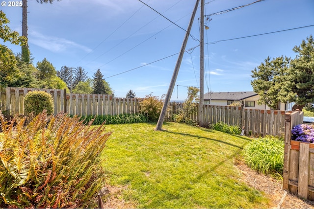 35565 Lower Loop Rd, Pacific City, OR 97135 - view of yard