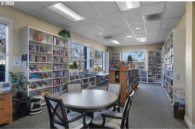 16146 SW 130th Ter Unit 2, Portland, OR 97224 - office area featuring bookshelves, a paneled ceiling, and carpet flooring